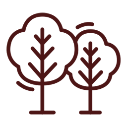 Pollution-Free Environment